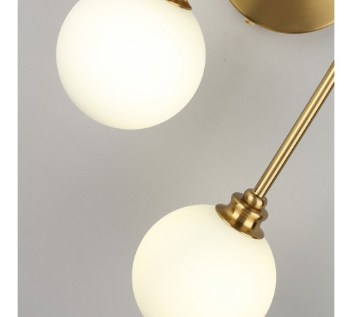 Бра Aployt APL.839.01.02 Eloiz