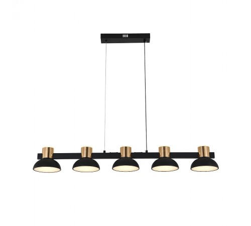 Подвесной светильник Indigo 11059/5PL Black Traforo