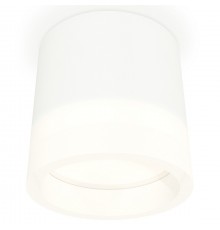 Накладной светильник Ambrella Light XS8110001 XS