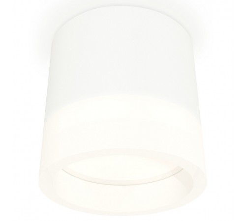 Накладной светильник Ambrella Light XS8110001 XS