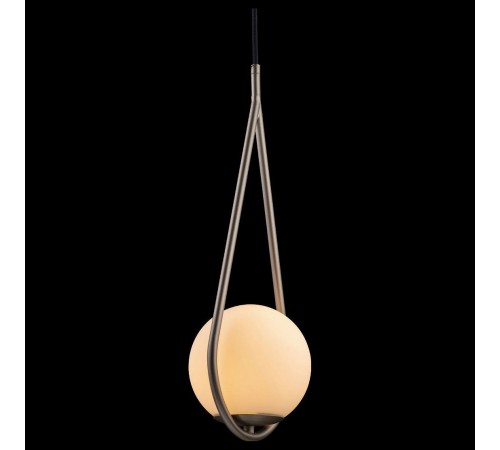 Подвесной светильник Loft it LOFT2599-B Glob