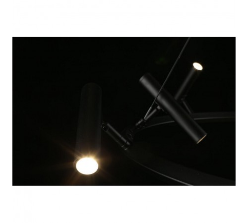 Подвесная люстра Aployt APL.067.03.50 Honor