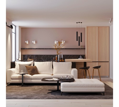 Накладной светильник Arlight 024382(1) POLO