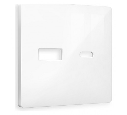 Накладка для розетки type A и C Ambrella Volt AP1110 Quant