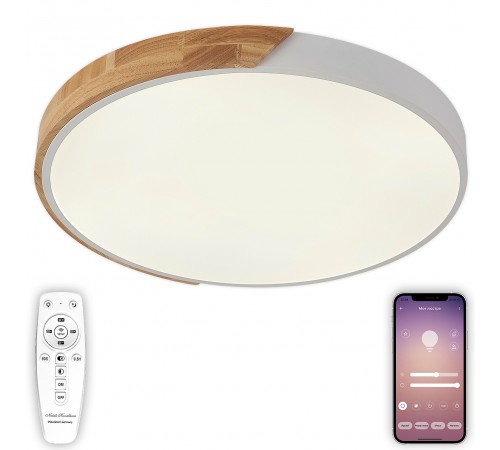 Накладной светильник Natali Kovaltseva LED LAMPS 81182 Scandinavian
