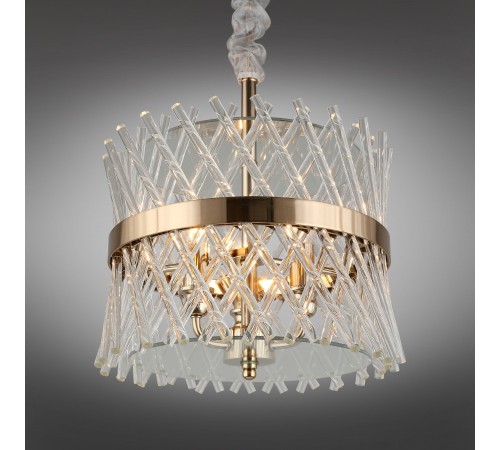 Подвесной светильник Aployt APL.734.06.03 Toinet