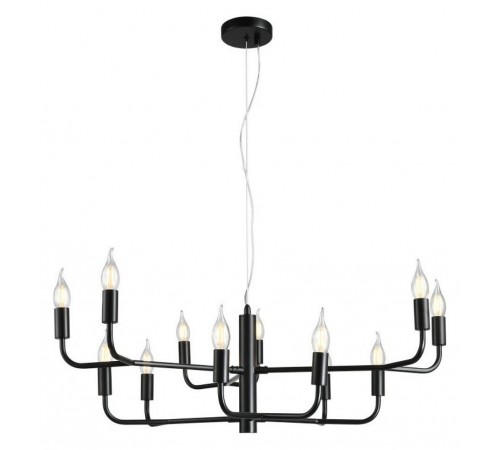 Подвесная люстра Aployt APL.338.13.12 Evlalia