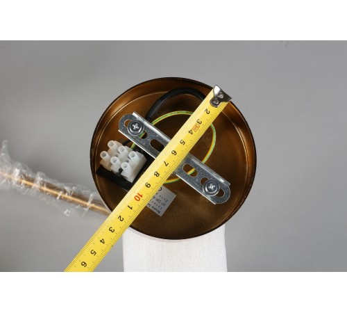 Люстра на штанге Aployt APL.819.07.13 Nika