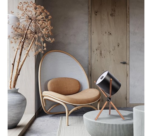 Настольная лампа декоративная Loft it 10245T Black Bobbin