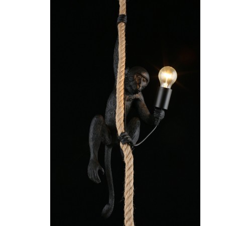 Подвесной светильник Aployt APL.309.16.01 Magali