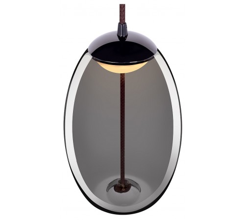 Подвесной светильник Loft it 8134-A Knot