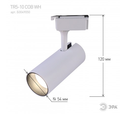 Светильник на штанге Эра TR5-10 COB WH