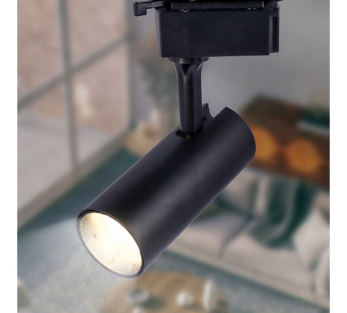 Светильник на штанге Эра TR5-10 COB BK