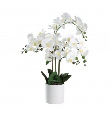 Растение в горшке (500x650) Hyuga 428024