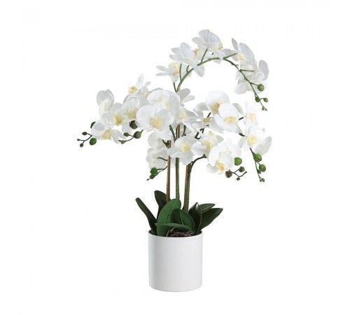 Растение в горшке (500x650) Hyuga 428024