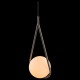 Подвесной светильник Loft it LOFT2599-B Glob
