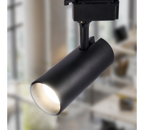 Светильник на штанге Эра TR5-20 COB BK
