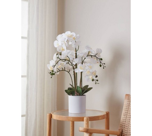 Растение в горшке (500x650) Hyuga 428024