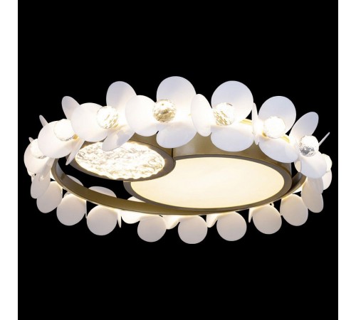 Накладной светильник Loft it 10173 Bride