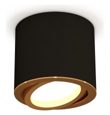 Накладной светильник Ambrella Light XS7402003 XS