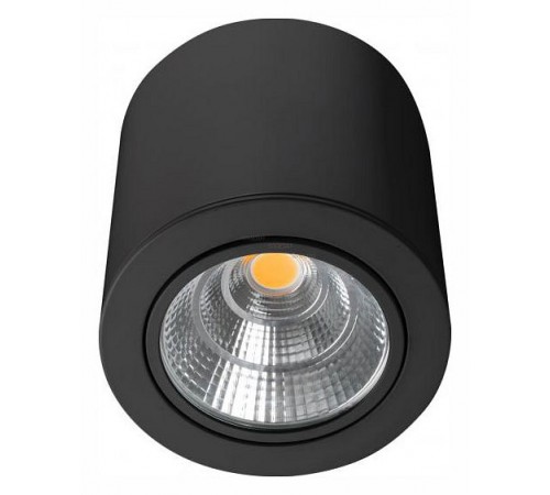 Накладной светильник Arlight 029538 SP-FOCUS-R140-30W Warm3000 (BK, 24 deg, 230V)