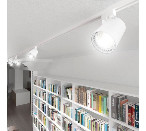 Светильник на штанге Feron 41605 AL100