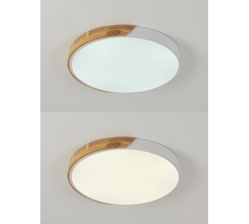 Накладной светильник Natali Kovaltseva LED LAMPS 81182 Scandinavian