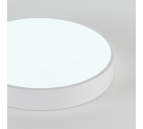 Накладной светильник Natali Kovaltseva LED LAMPS 81112/5C