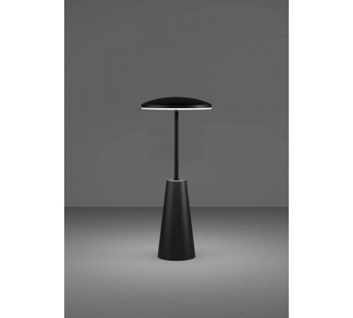 Настольная лампа декоративная Eglo 900925 PICCOLA