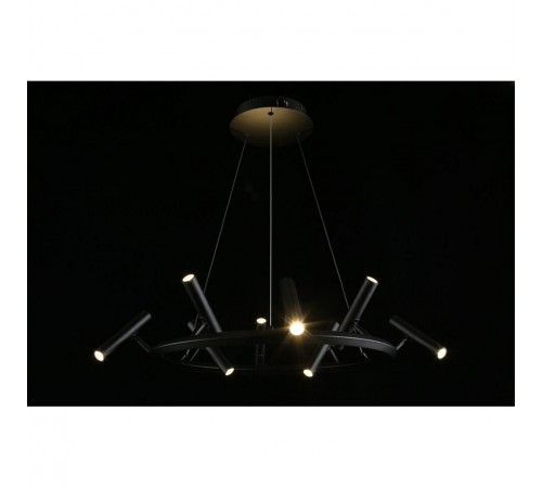 Подвесная люстра Aployt APL.067.03.40 Honor