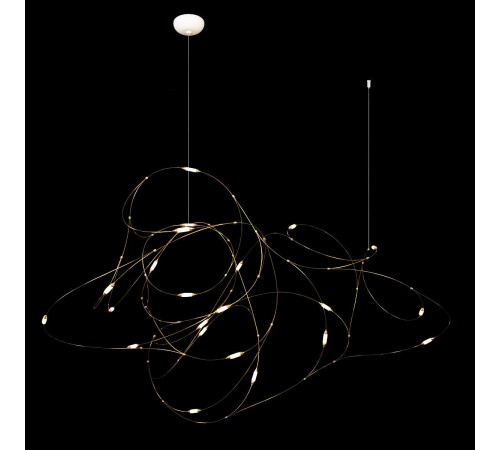 Подвесная люстра Loft it 10309/21 Flock of Light