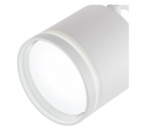 Светильник на штанге Escada 20009TRA/02 SWH 20009