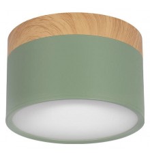 Накладной светильник Loft it 10162 Green Grape