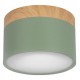 Накладной светильник Loft it 10162 Green Grape