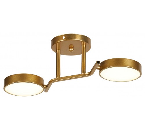 Светильник на штанге Escada 10273/2LED Starlight