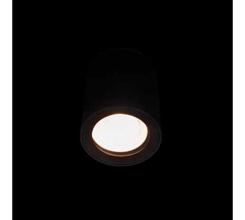 Накладной светильник Loft it 10344 Black Rush