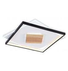 Накладной светильник Ambrella Light FL4791 FL