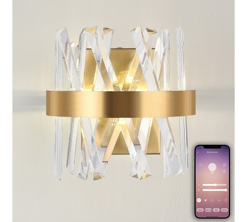 Накладной светильник Natali Kovaltseva LED LAMPS 81113/1W TIZIANO