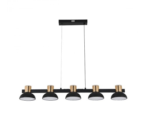 Подвесной светильник Indigo 11059/5PL Black Traforo