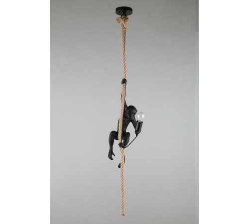 Подвесной светильник Aployt APL.309.16.01 Magali