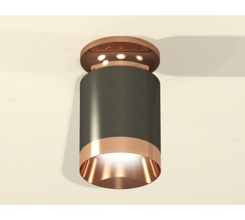 Накладной светильник Ambrella Light XS6303160 XS
