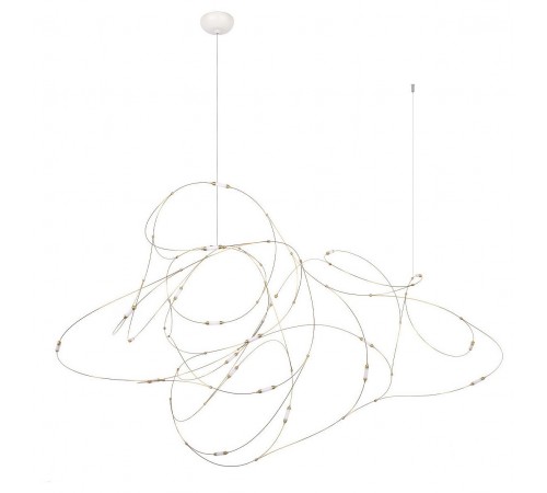Подвесная люстра Loft it 10309/21 Flock of Light