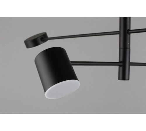 Люстра на штанге Aployt APL.017.07.48 Frania