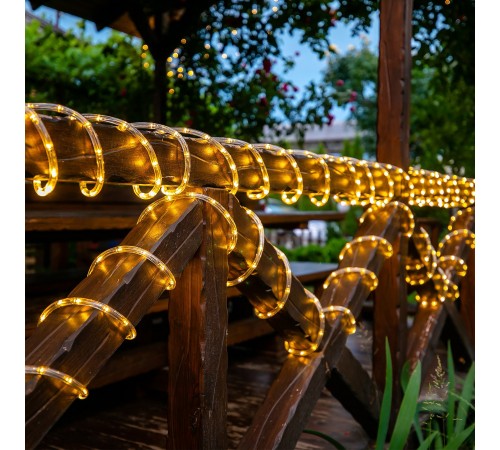 Шнур световой Uniel UL-00008575