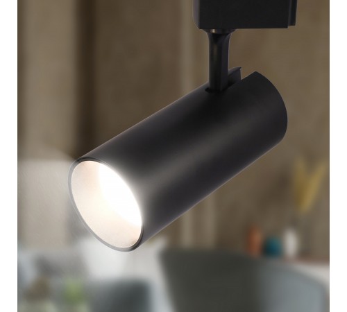 Светильник на штанге Эра TR5-30 COB BK