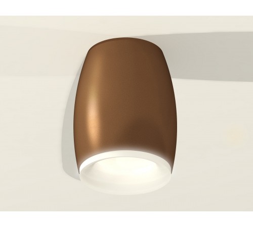 Накладной светильник Ambrella Light XS1124020 XS