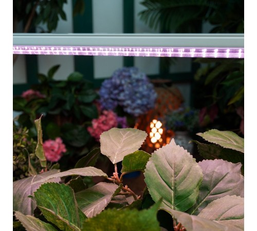 Светильник для растений Uniel UL-00008920 ULI-P13