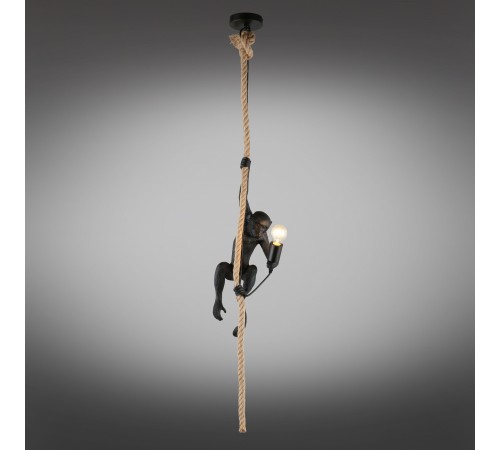 Подвесной светильник Aployt APL.309.16.01 Magali