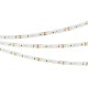Лента светодиодная Arlight 047719 RT-A120