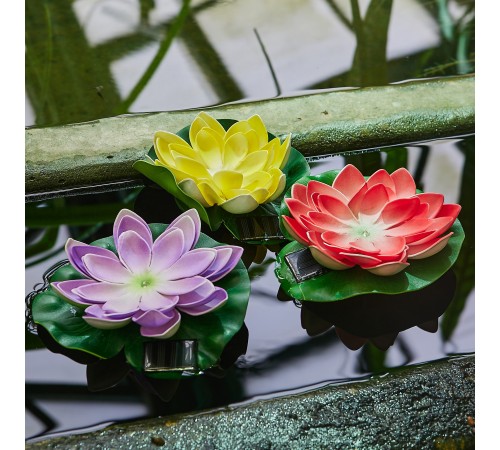 Растение Uniel UL-00011601 WATERLILY